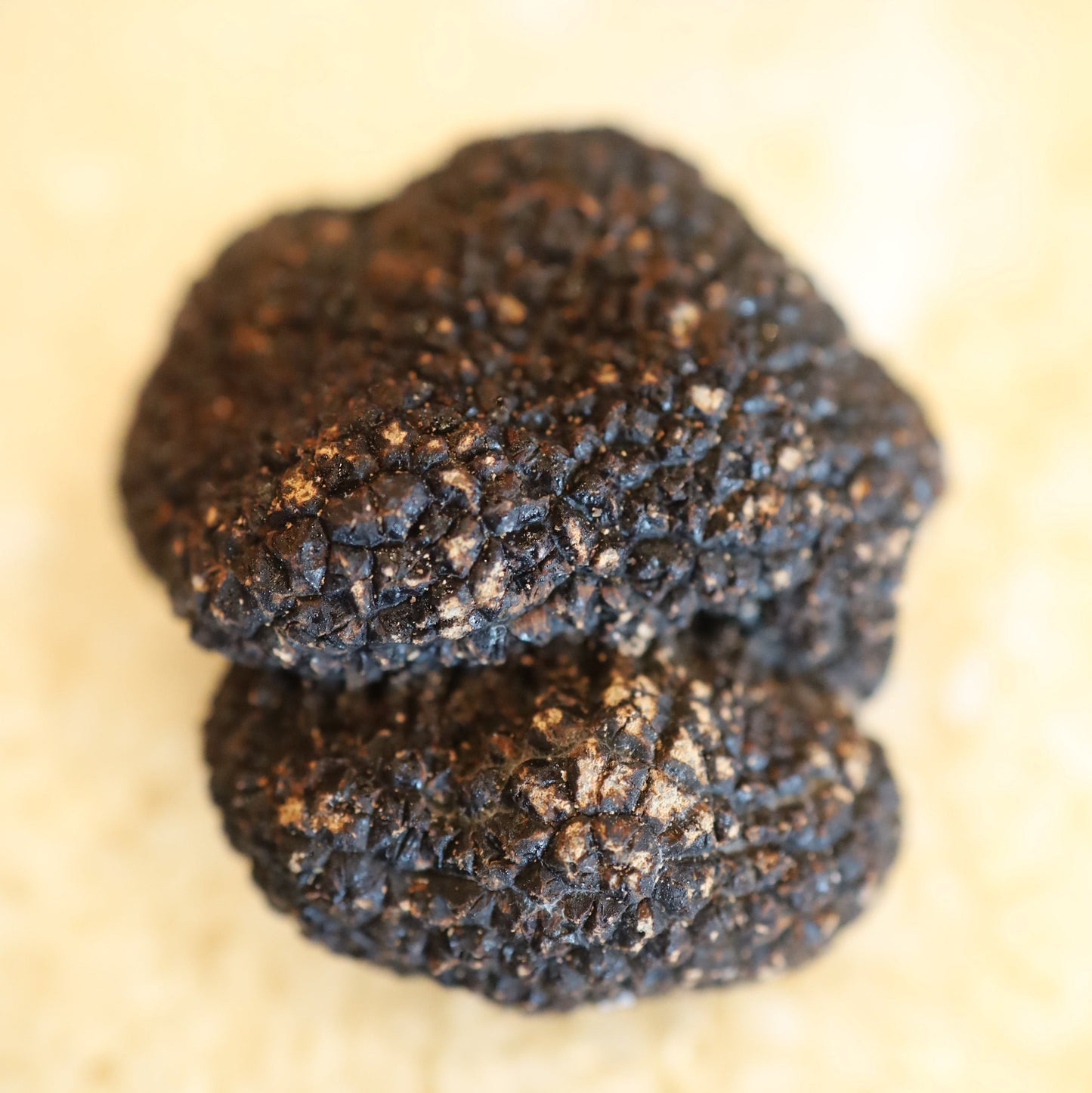 WINTER BLACK TRUFFLE